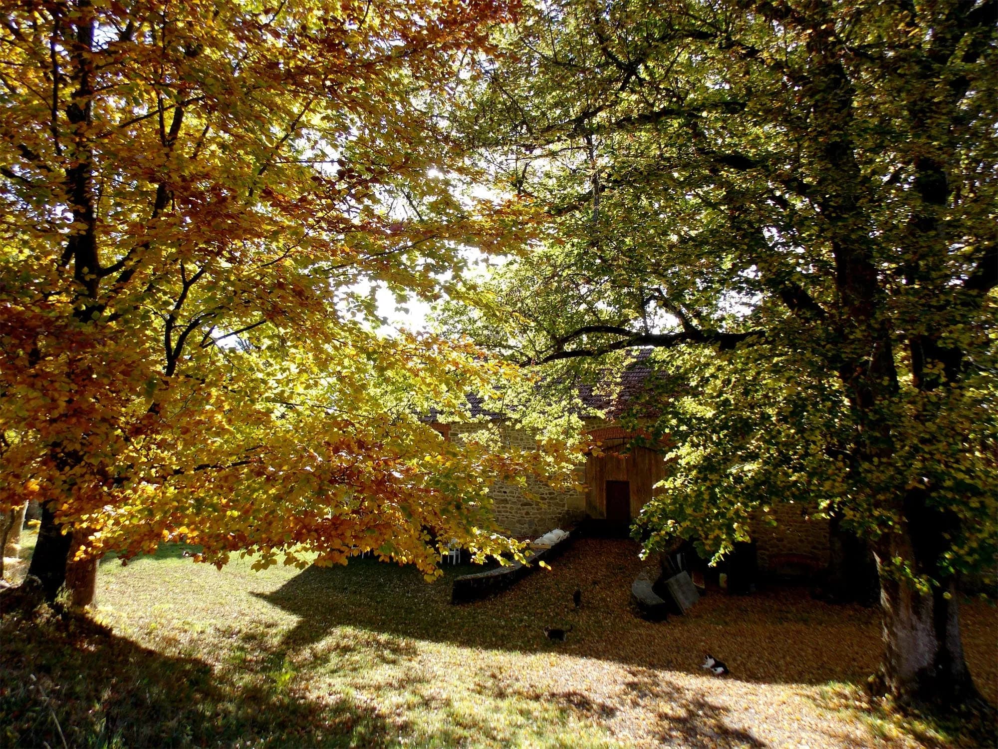 Gite forestier Le Chassaing