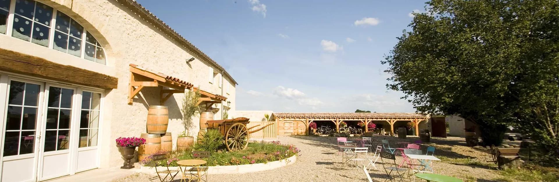 Ilot-Vignes