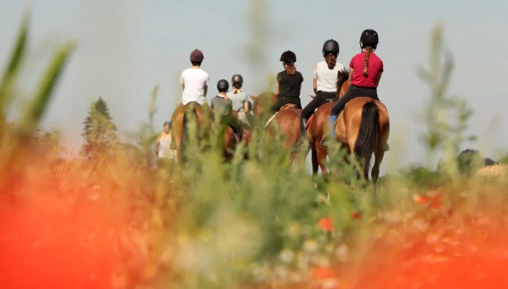 La Chaumière aux Poneys